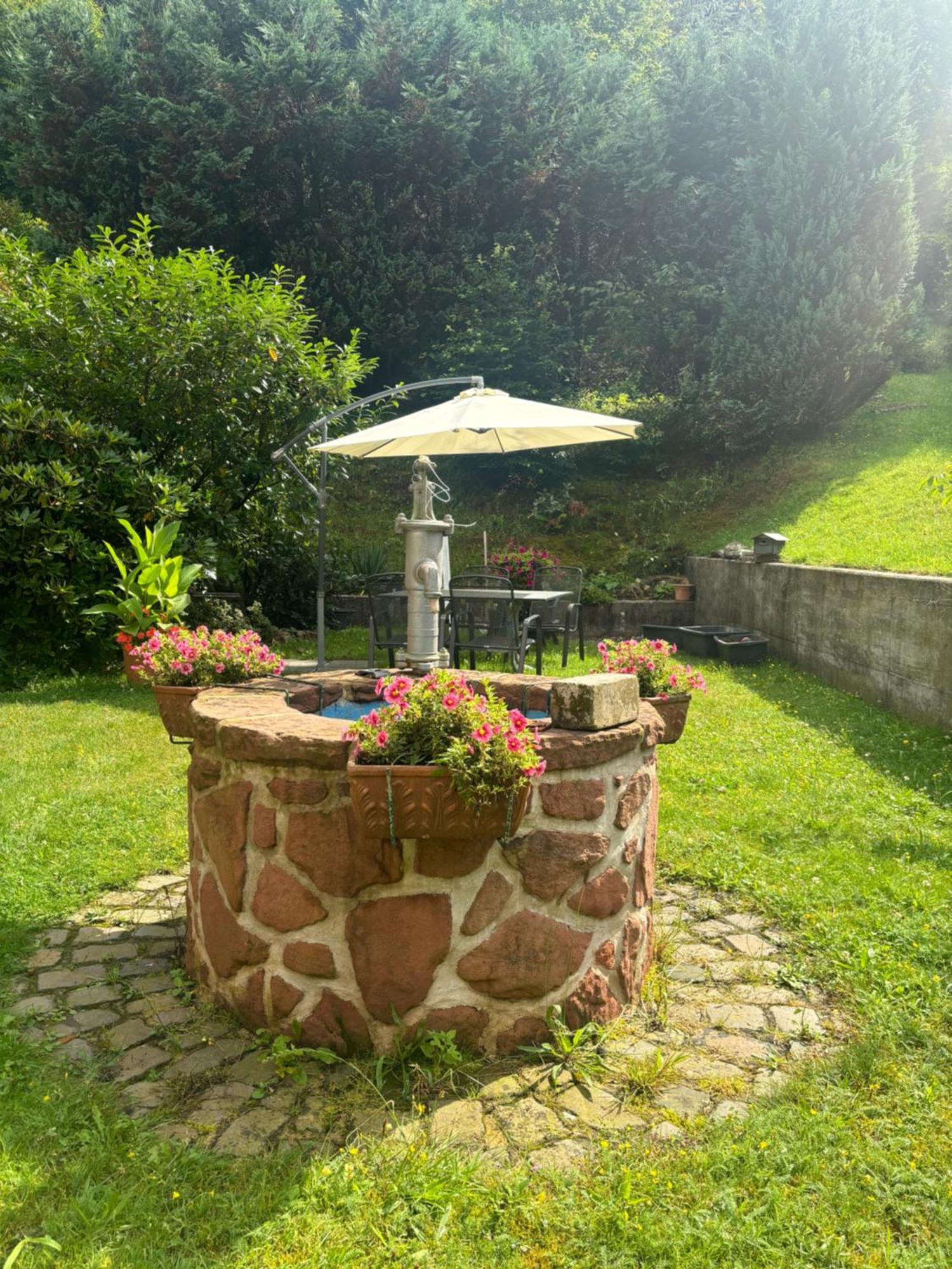 Hotel Pension Ernst Im Herzen Des Pfaelzerwaldes Mit Kueche à Elmstein Extérieur photo
