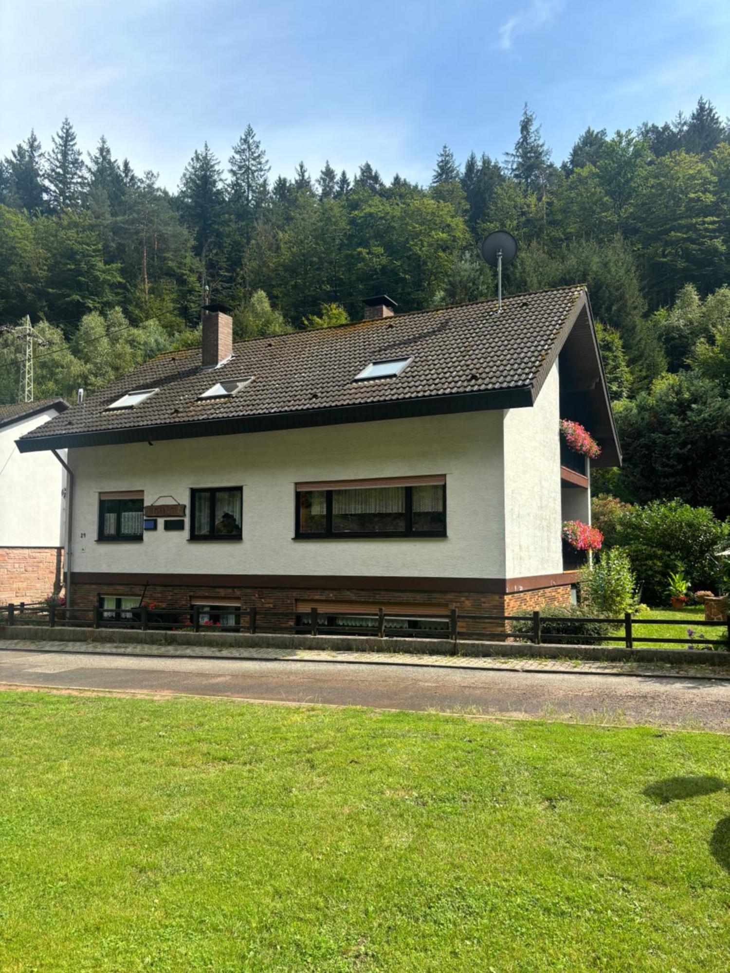 Hotel Pension Ernst Im Herzen Des Pfaelzerwaldes Mit Kueche à Elmstein Extérieur photo